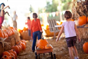 kids-walking-through-pumpkin-patch-300x200